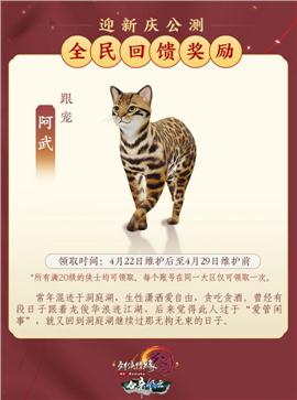 玩天龙八部私服会卡
